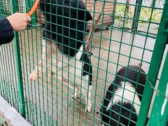 -同里湖度假村(二期店)