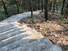 -滴水岩森林公园