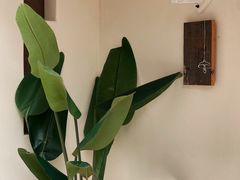 -风吟仟茶(友阿店)