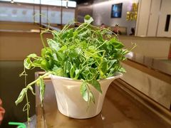 -海底捞火锅(铁西万达店)