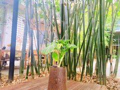 -扫雪煮茶(西村店)