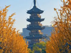 -龙华素斋(龙华路店)