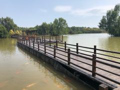 -大湾区中央湿地公园