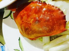 -小贝壳酒楼(经九路店)