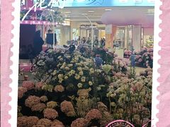 -上海长风大悦城