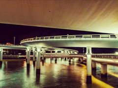 -演武大桥观景平台