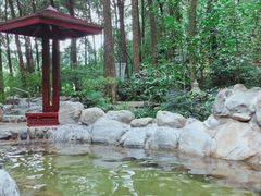 -金方森林温泉