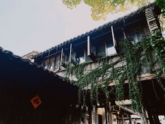 -乌镇景区