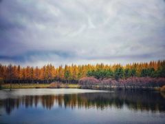 -塞罕坝国家级自然保护区