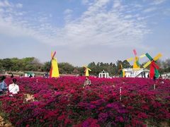 -松山湖梦幻百花洲