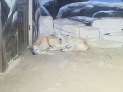 -石林冰雪海洋世界