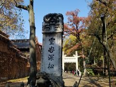 -灵谷景区