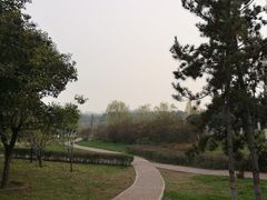 -洨河生态公园