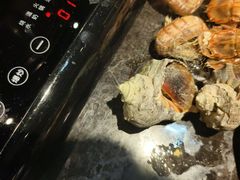 -川骄海鲜自助(河东店)