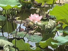 -木塔寺遗址生态公园