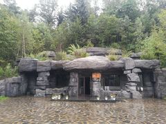 -五营红松林海景区