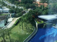 -希尔顿南海酒店·观廊大堂吧·海景下午茶