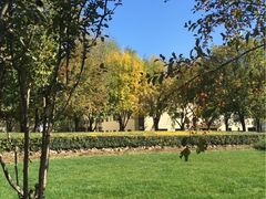 -北京国家会计学院