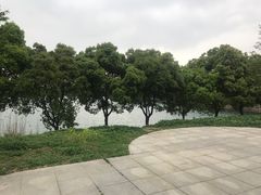 -桃花岛景观公园