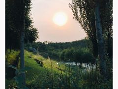 -北京园博大酒店