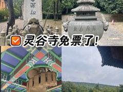 -灵谷景区