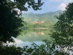 -深圳仙湖植物园