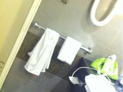 -新加坡乌节希尔顿酒店 (SG Clean)