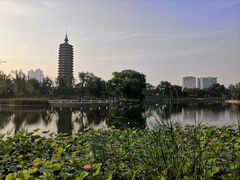 -西海子公园