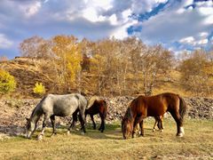 -塞罕坝国家级自然保护区