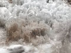 -黑龙潭风景区