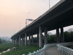 -永红源·啤酒烧烤海鲜大排档(台柳路店)