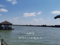 -海鸥岛