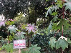 -广东中医药博物馆
