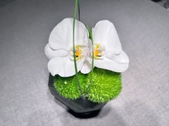 -南堂馆·新川菜(春熙路店)