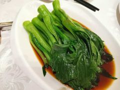 -京粤荟(海王银河科技大厦店)