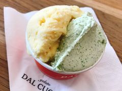 新鲜薄荷-Dal Cuore 达可芮冰淇淋(陕西北路店)