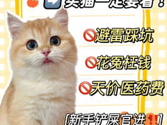 -lincat·猫舍(广州店)
