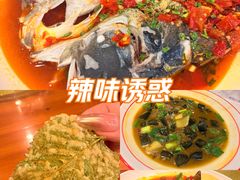 -浔味·山屿湖·正宗淳牌全鱼宴老字号