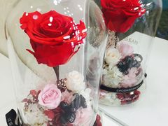 -DQ·蛋糕·冰淇淋(浦江欢乐颂店)