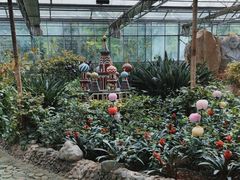 -南宫五洲植物乐园