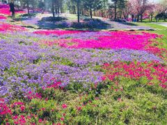 -南通洲际绿博园