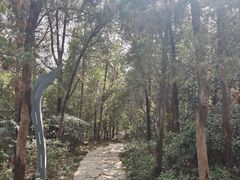 -云龙山
