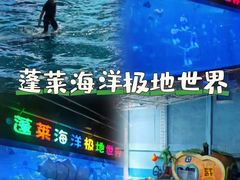 -蓬莱欧乐堡海洋极地世界
