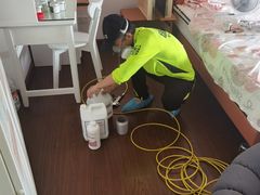 -绿色亿家除甲醛机构