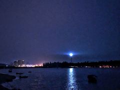 -东郊椰林