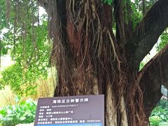-晓港公园