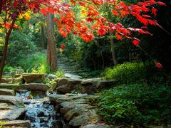 -九如山休闲旅游度假区