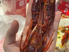 -霸王虾·麻辣小龙虾(清水河公园店)