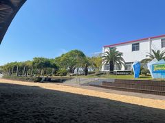 -碧海金沙