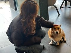 -简象咖啡CAFE ELE JANE(满陇桂雨店)